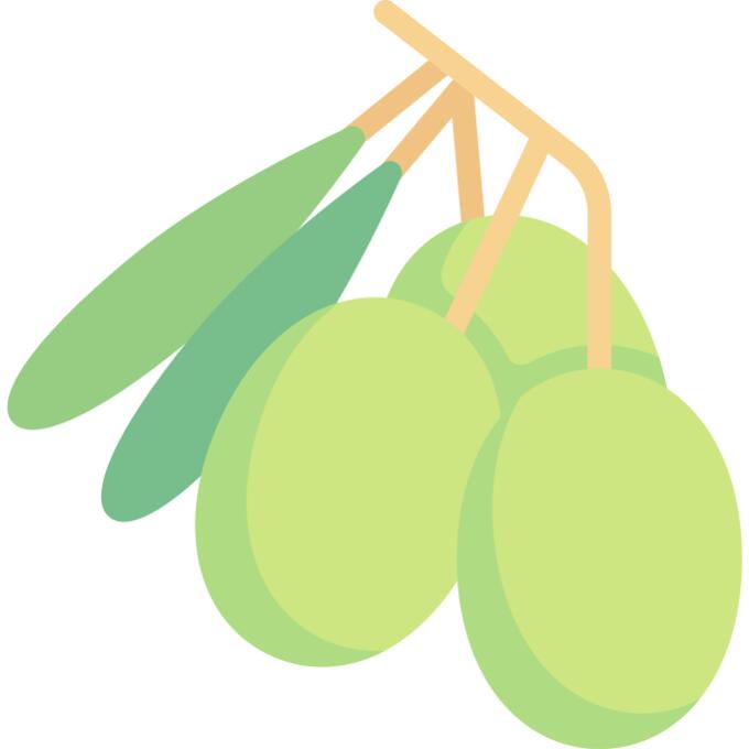 橄榄