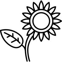 Sunflower with Leaf