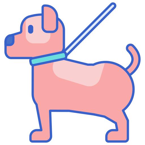 Dog walking
