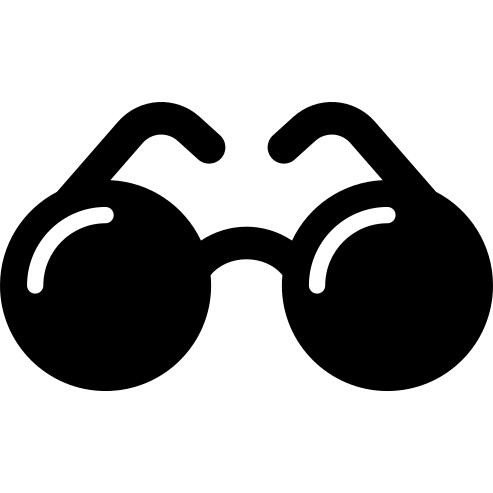 Round Sunglasses