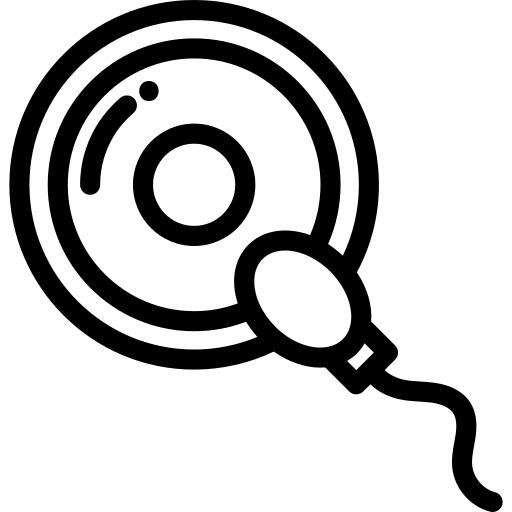 Fertilization