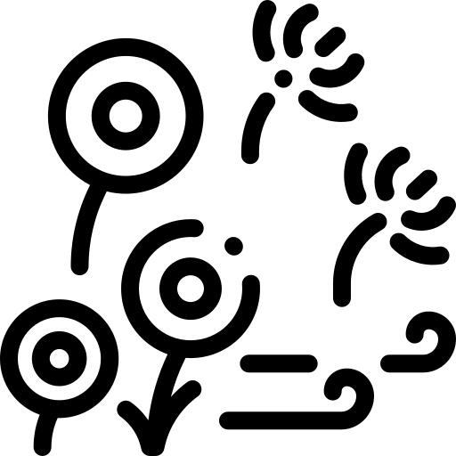 蒲公英