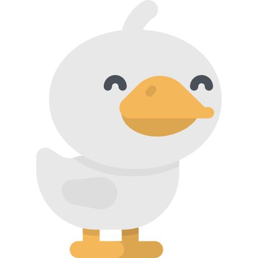 鸭
