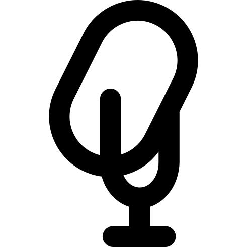 麦克风