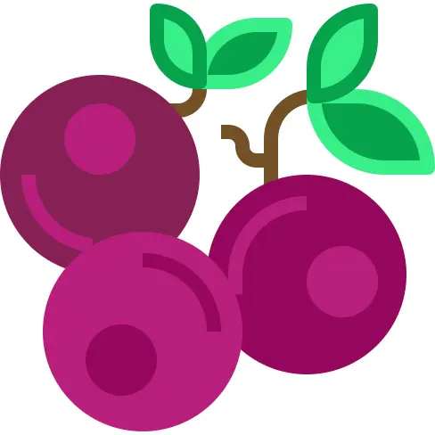 Blueberries