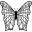 Butterfly with complex thin lines pattern wings from top view
