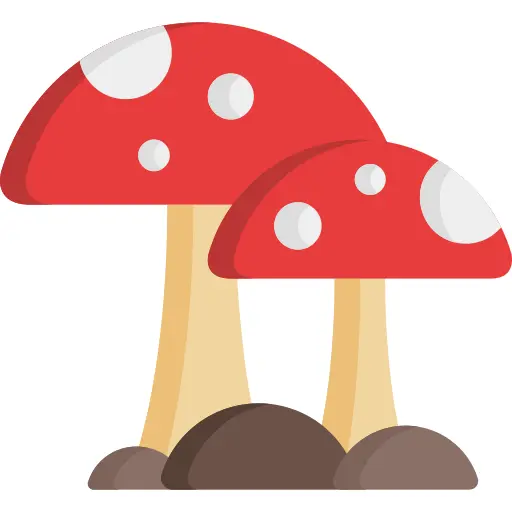 Mushroom
