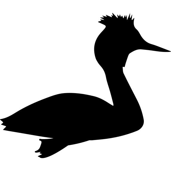 Bird grebe shape