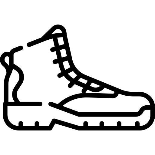 Shoe
