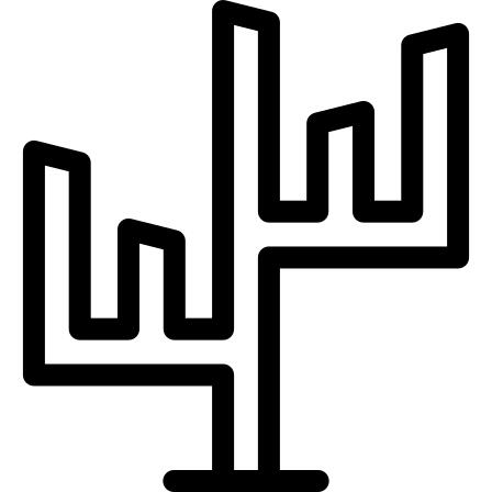 仙人掌