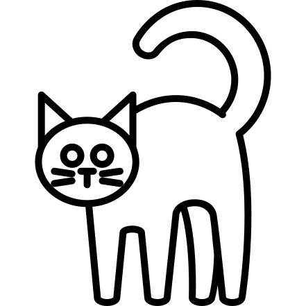 Black Cat
