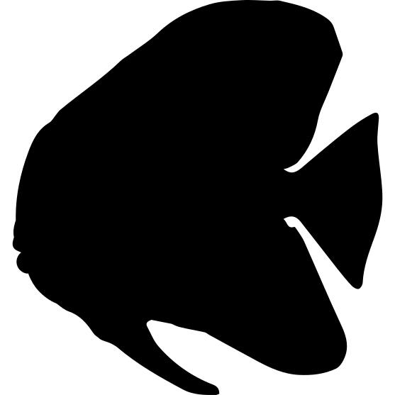 Fish batfish shape