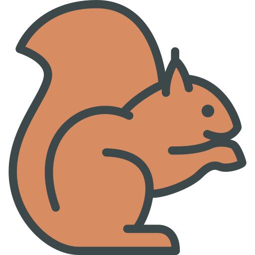Squirrel