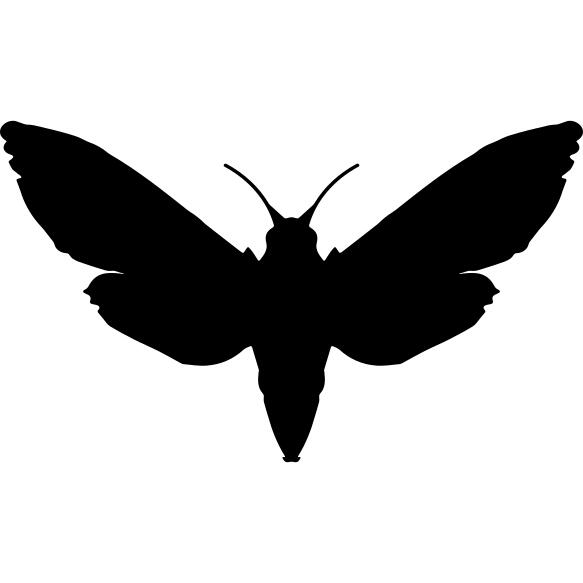 Sphinx top view silhouette