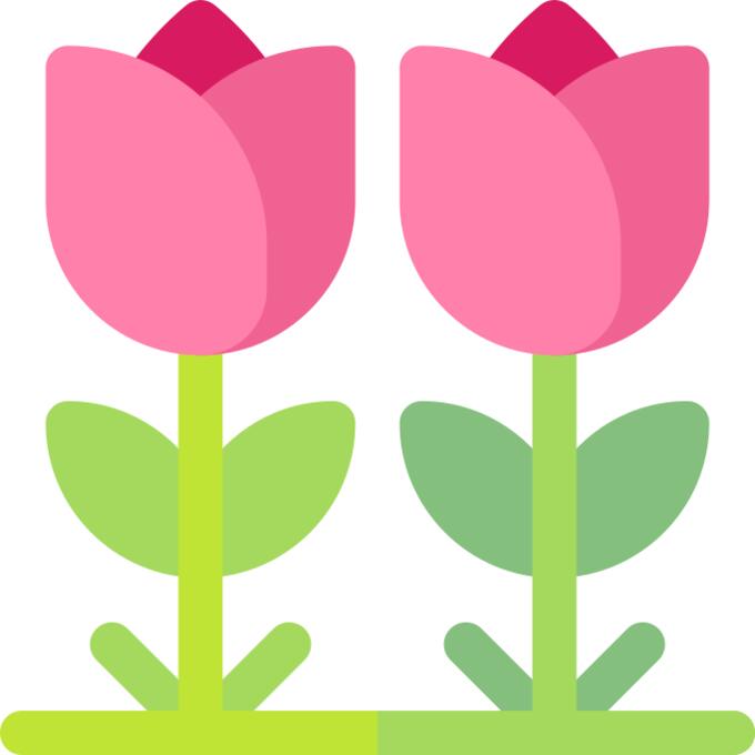 Tulips