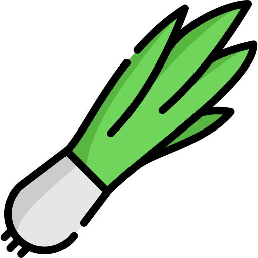 Onion