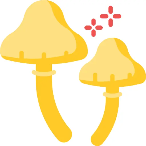 Mushroom