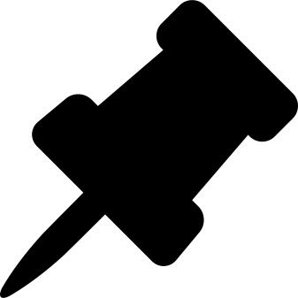 Pin