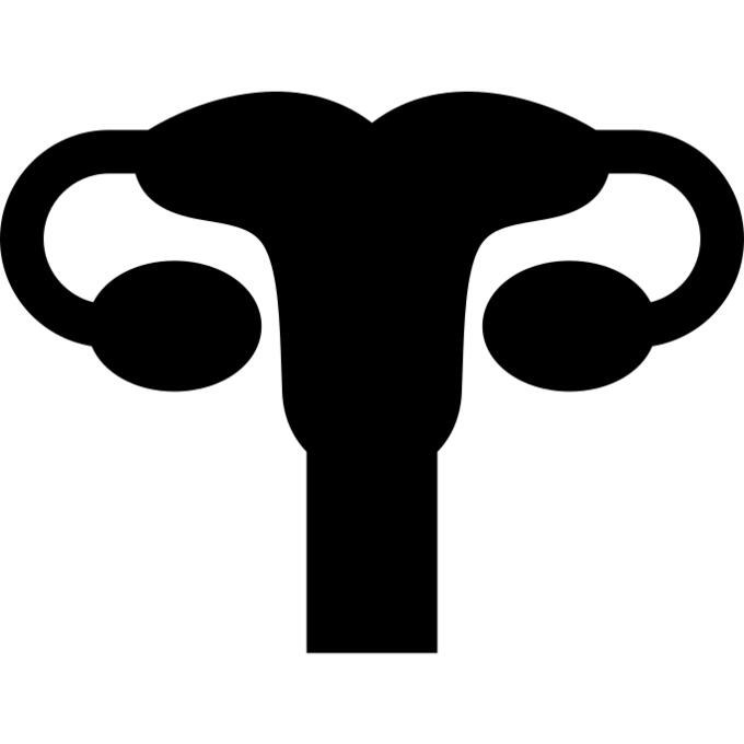 子宫