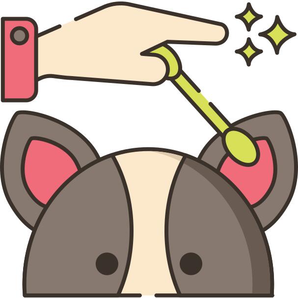耳朵清洁
