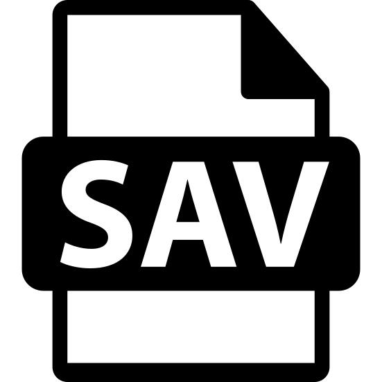 SAV文件格式符号