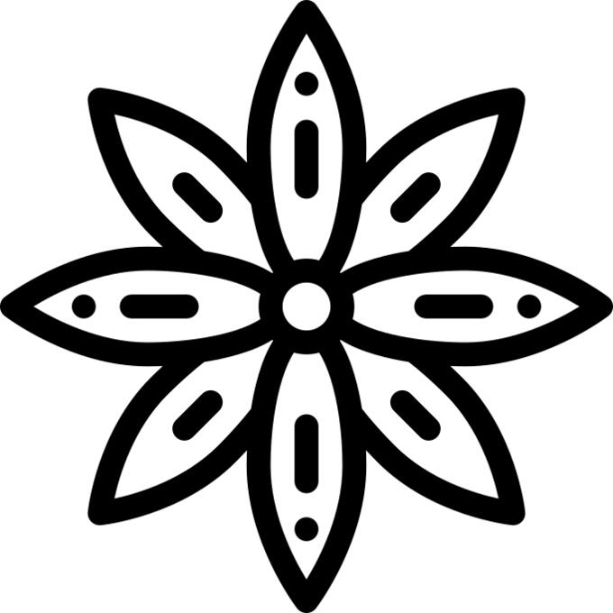 Anise