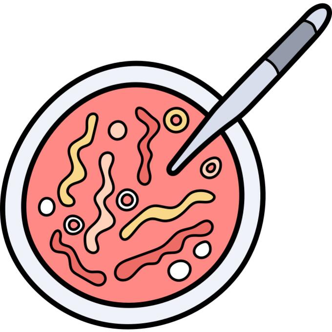 Bacterias
