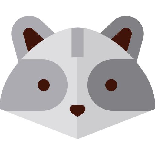 Raccoon