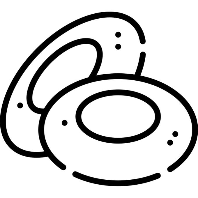 红细胞
