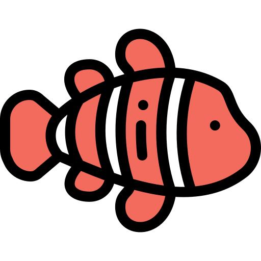 Clown fish