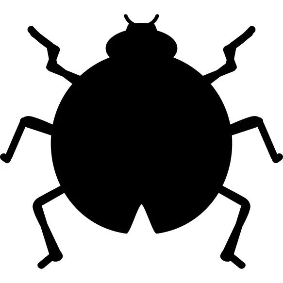 Insect catarina shape