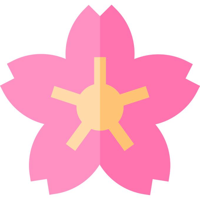 Cherry blossom