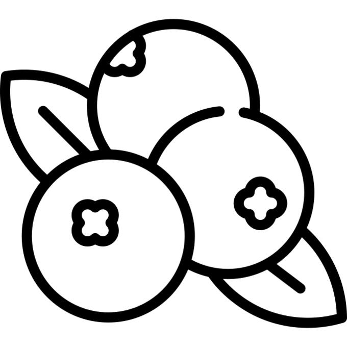 Berries