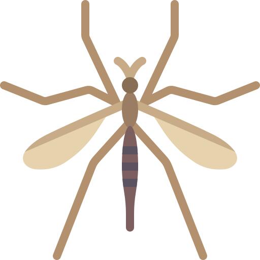 Mosquito