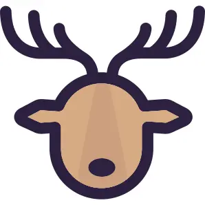Reindeer