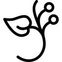 Leaf outline with circle buds