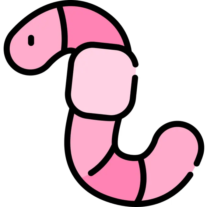 虫