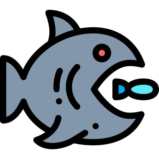 Big fish