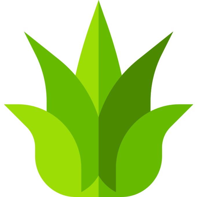 Agave