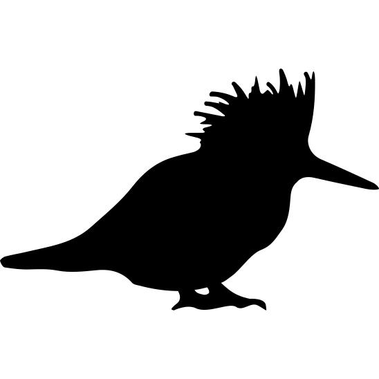 Bird silhouette