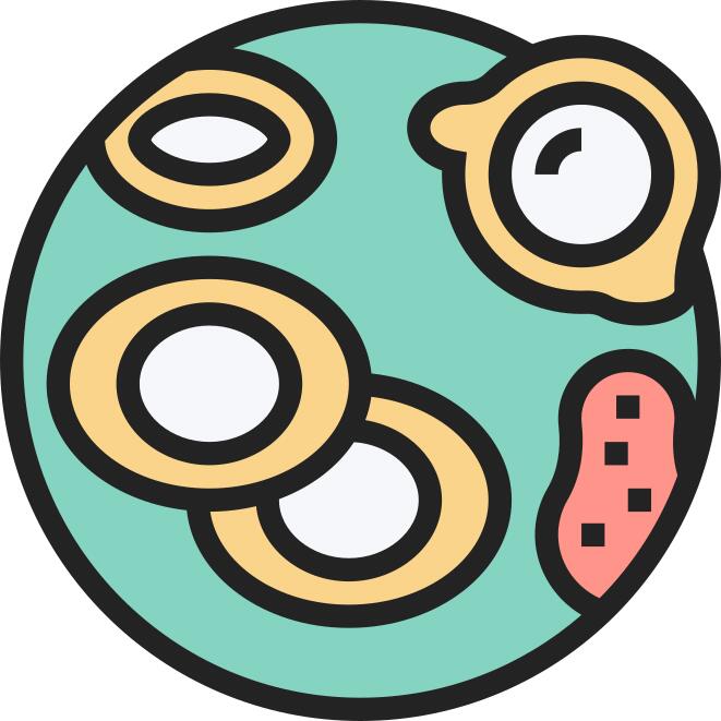 细胞
