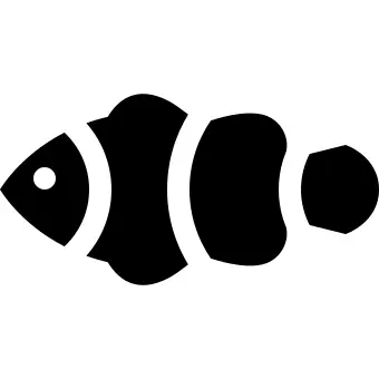 小丑鱼
