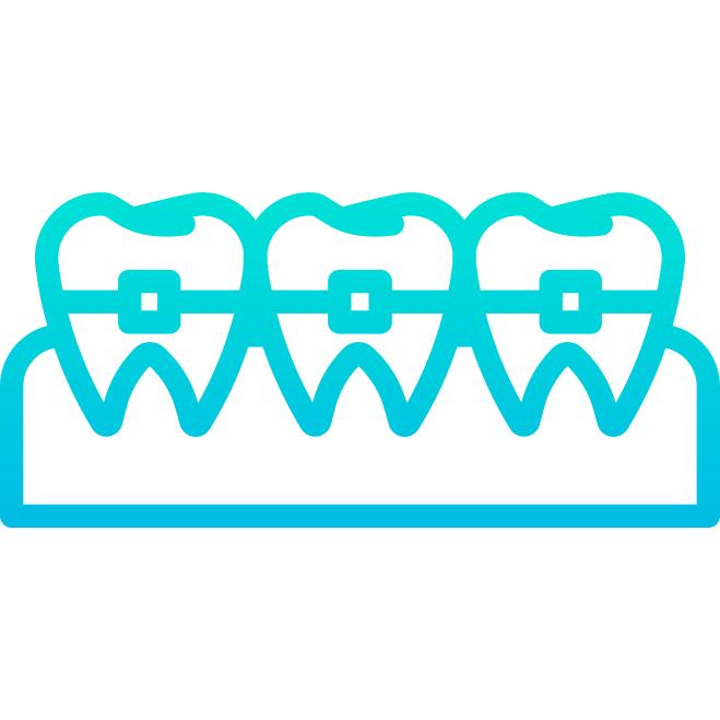 Teeth