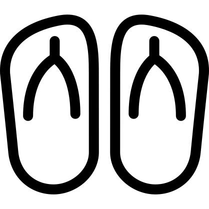 Two Flip Flops