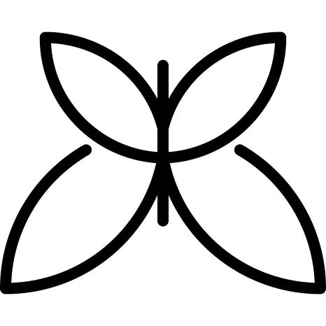 Christian Butterfly