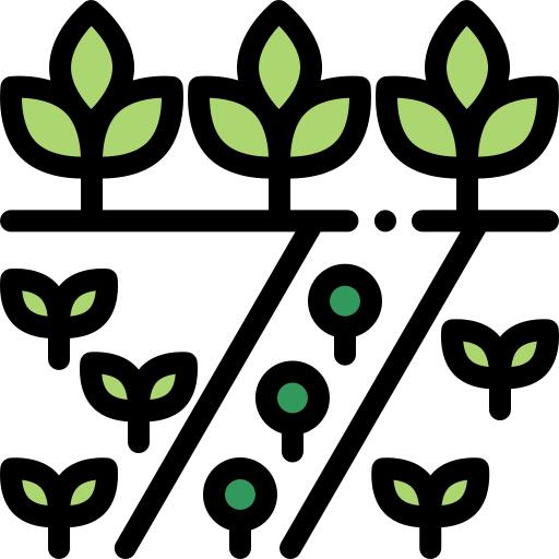 Planting