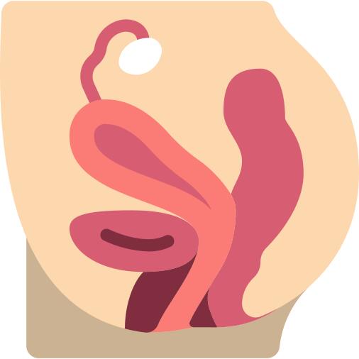 Pelvic area