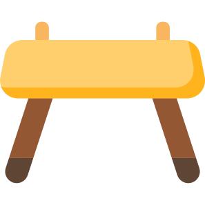 Gymnastic