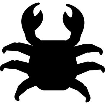 Crab top view