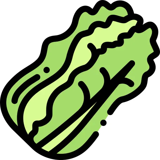 Cabbage